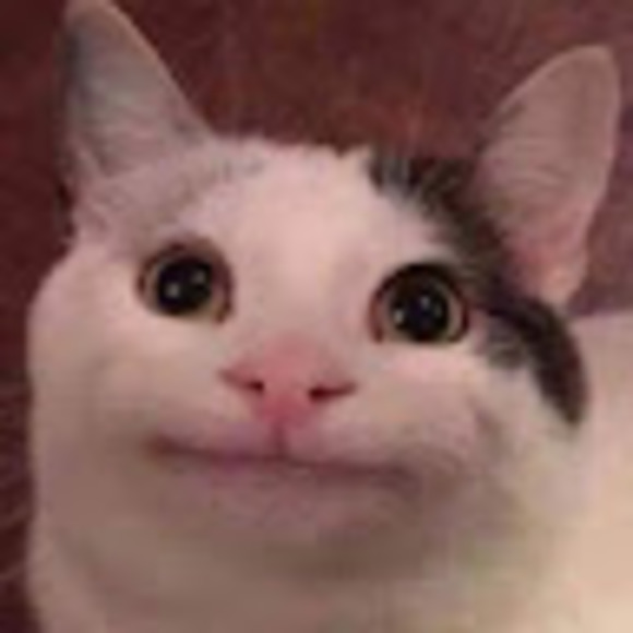 Meet your Posher, Ice - Picture 1 of 1